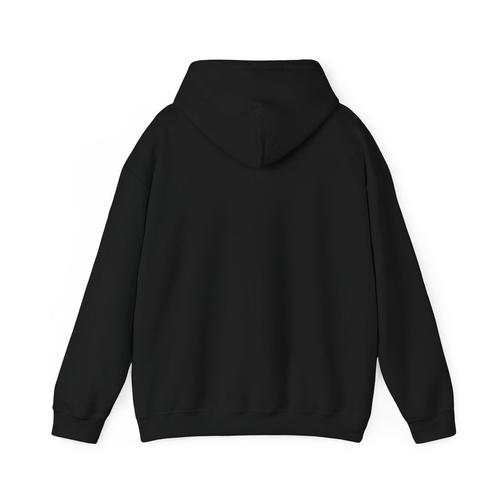 I'm Not A Morning Person Funny Hoodie