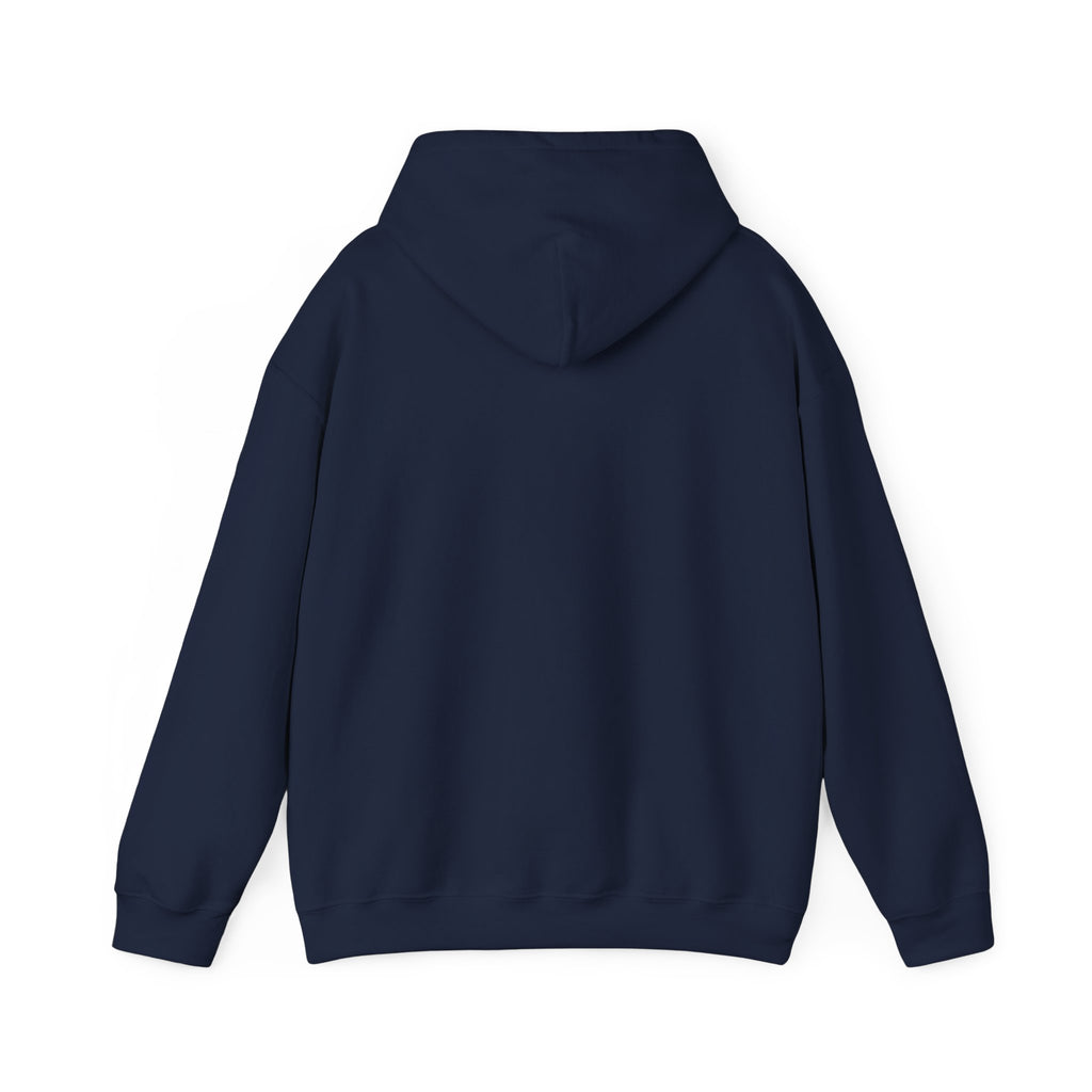 I'm Not A Morning Person Funny Hoodie