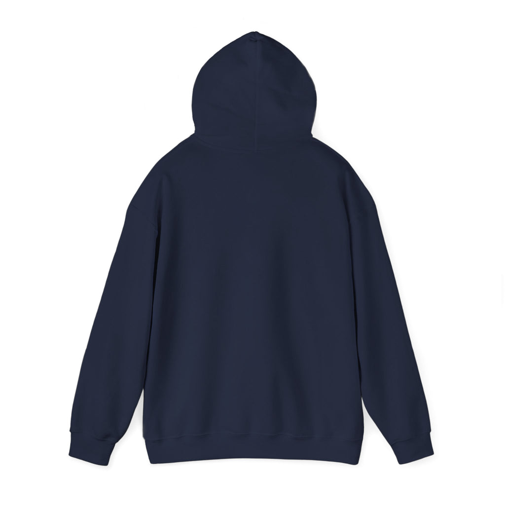 I'm Not Lazy I'm On Energy Saving Mode Funny Hoodie